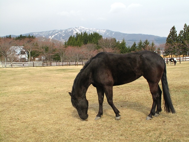 トップ写真