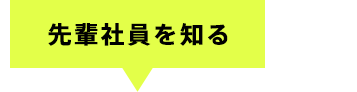 先輩社員を知る Masahiro Usui